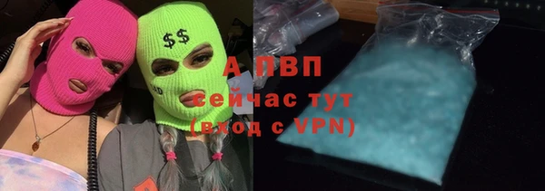 спиды Новокубанск
