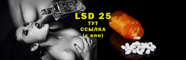 эйфоретик Нефтекумск