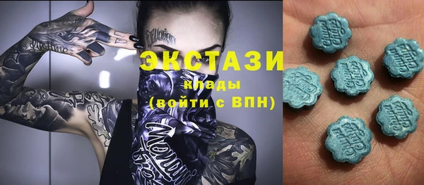 сатива Новодвинск