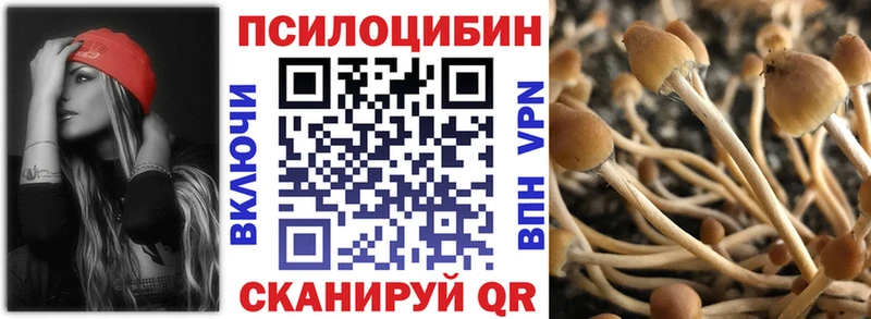 Псилоцибиновые грибы мухоморы  наркошоп  Цоци-Юрт 